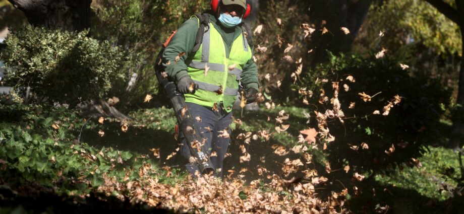 Everyone hates gas-powered leaf blowers. So why is it so hard to ban them?