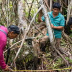 In Peru, community-led camera trapping boosts conservation and ecotourism