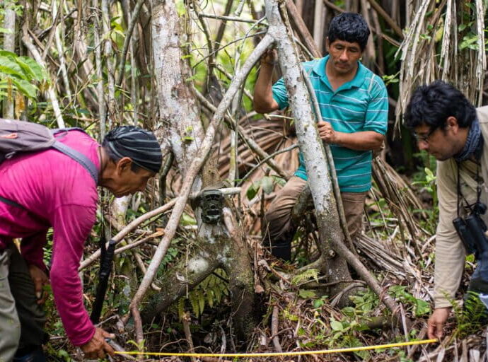 In Peru, community-led camera trapping boosts conservation and ecotourism