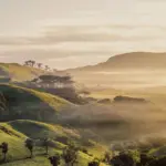 New Zealand’s Tourism Momentum Builds Despite Uneven Market Gains in November 2025