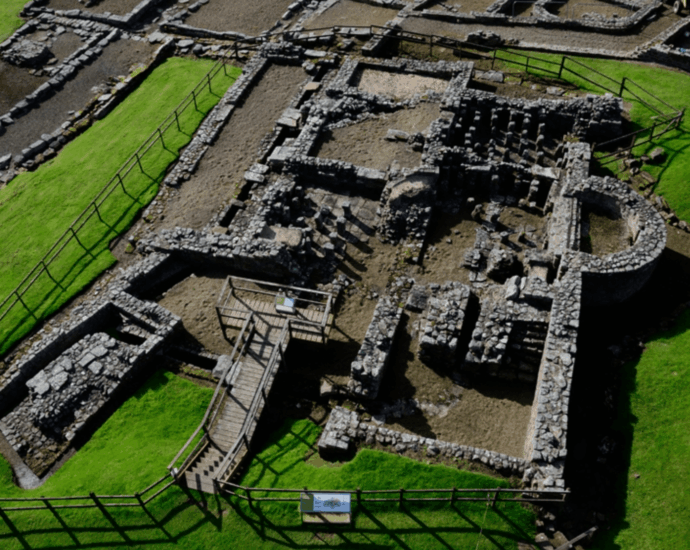 Diarrhea slowed down Roman soldiers