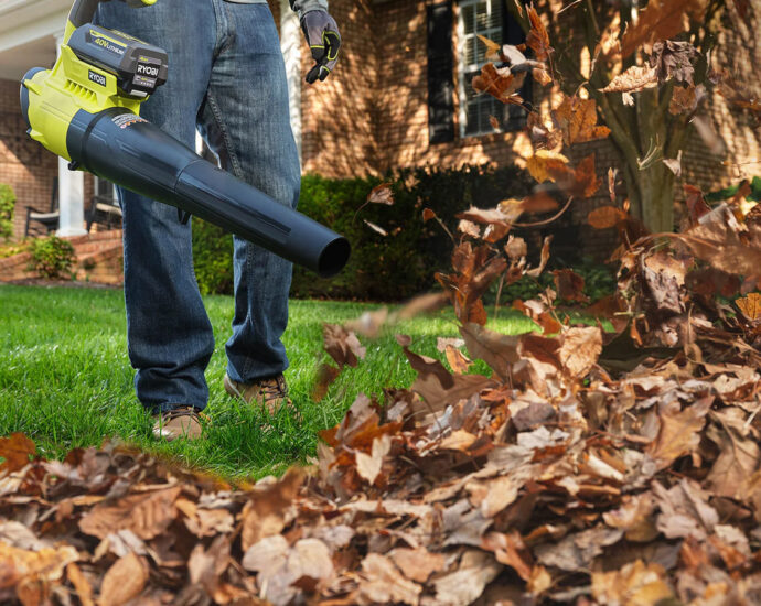 Every Ryobi Leaf Blower You Can Buy Today, Ranked By Price