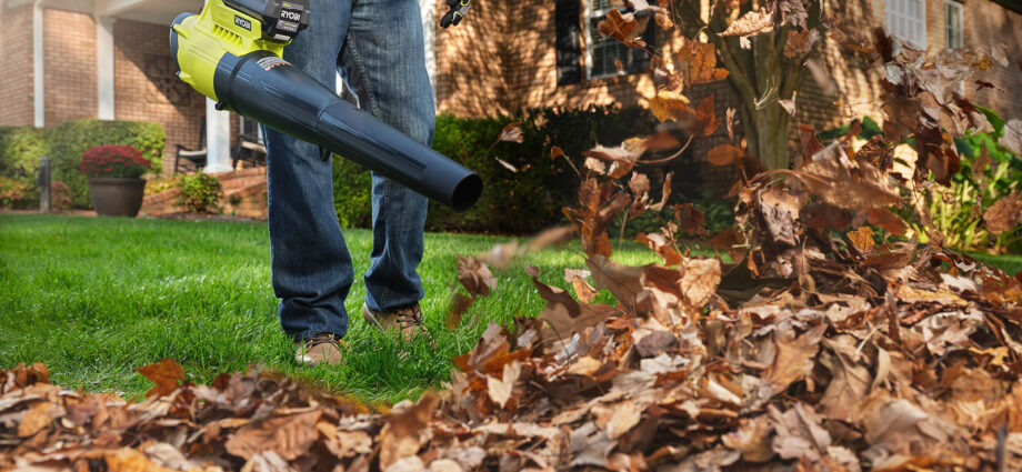 Every Ryobi Leaf Blower You Can Buy Today, Ranked By Price