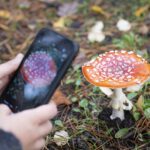 6 Plant Identification Apps to Try in 2026