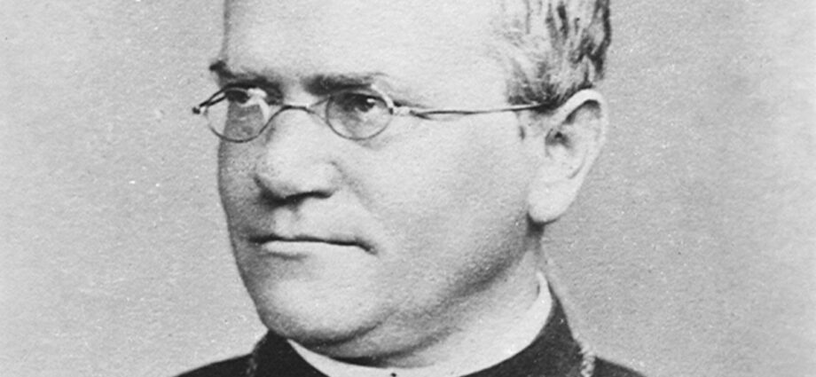 The monk who discovered the laws of genetics—but was overlooked in his time