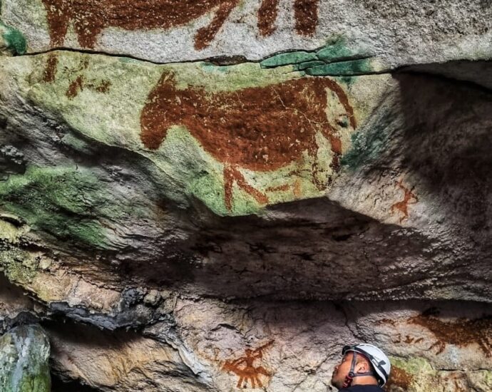 The world’s oldest rock art discovered in Indonesia