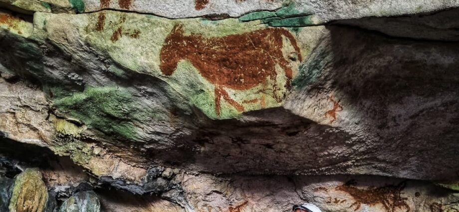 The world’s oldest rock art discovered in Indonesia
