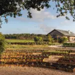 Extendam and Experimental strengthen their value-add strategy in Portugal