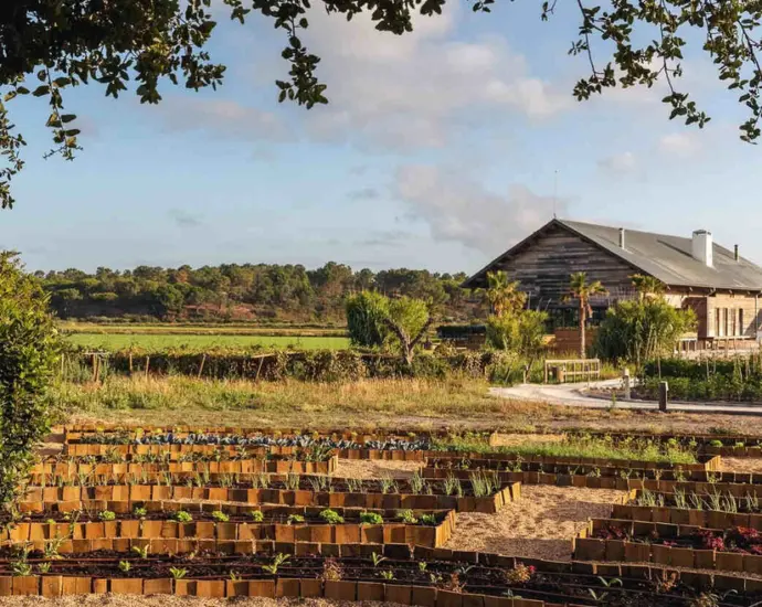 Extendam and Experimental strengthen their value-add strategy in Portugal