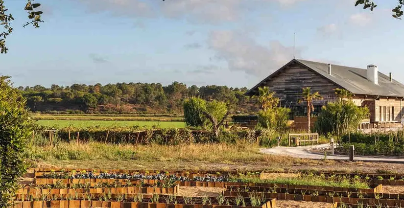 Extendam and Experimental strengthen their value-add strategy in Portugal