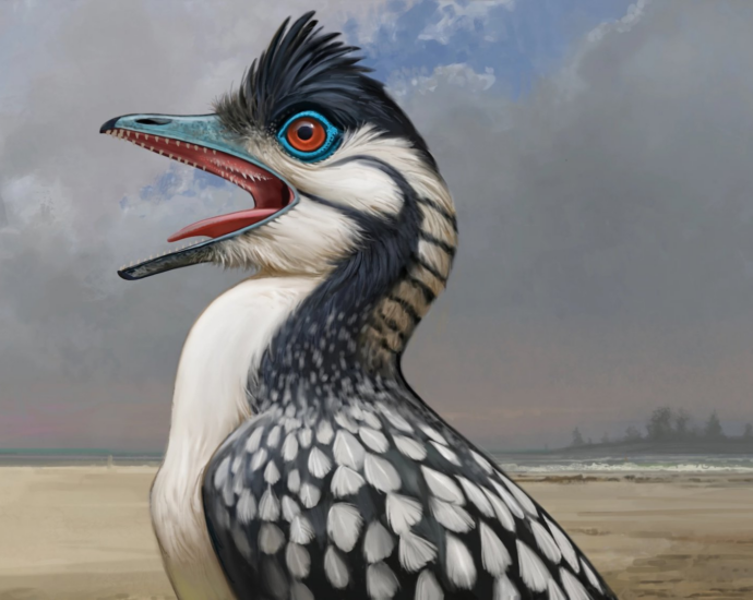 Weird bird mouths go all the way back to the first avian dinosaur