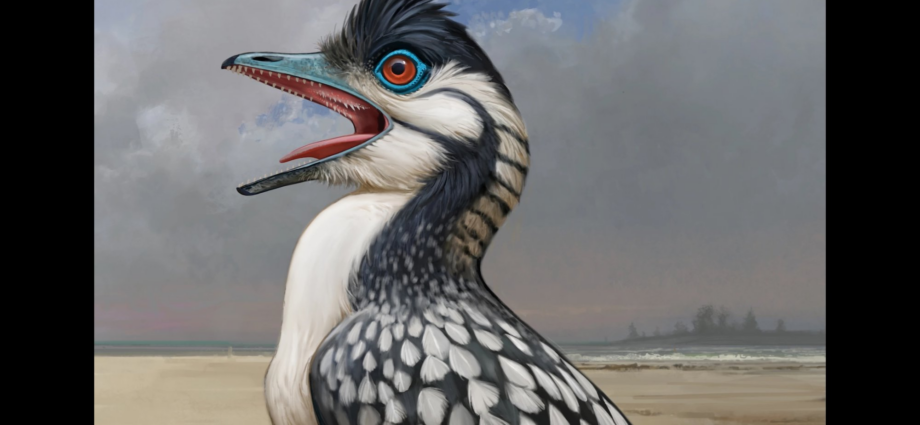 Weird bird mouths go all the way back to the first avian dinosaur