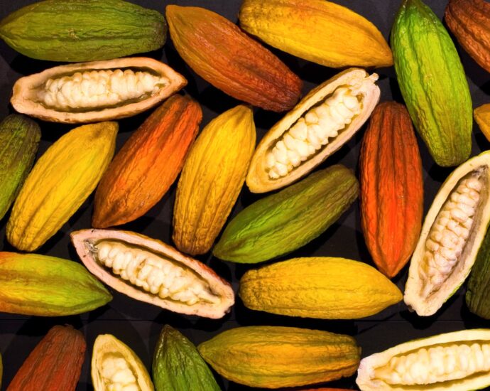 Nestlé, Mondelēz, Mars, Barry Callebaut: Which chocolate giants are diversifying?