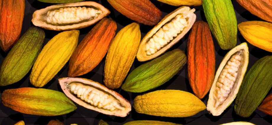 Nestlé, Mondelēz, Mars, Barry Callebaut: Which chocolate giants are diversifying?