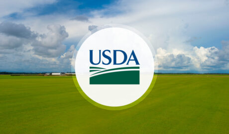 USDA Announces Assistance for Specialty Crop Farmers Impacted by Unfair Market Disruptions