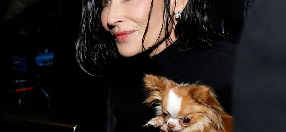 Demi Moore’s Drastic Bob Comes After Years of Resisting Pressure to Cut Her Waist-Length Hair