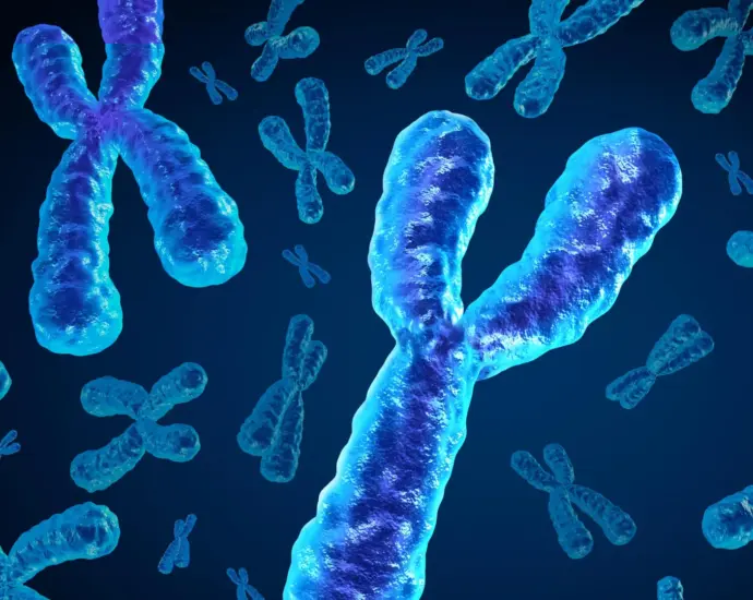 Men are losing a key chromosome with age and it may be deadly