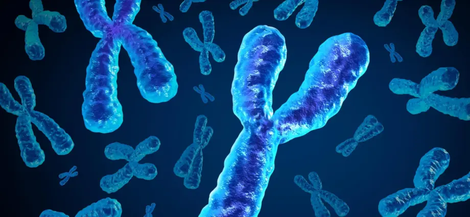 Men are losing a key chromosome with age and it may be deadly