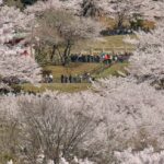 Japan Struggles With What Some There Call “Tourism Pollution”