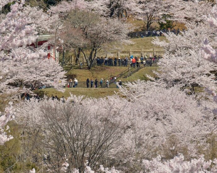 Japan Struggles With What Some There Call “Tourism Pollution”