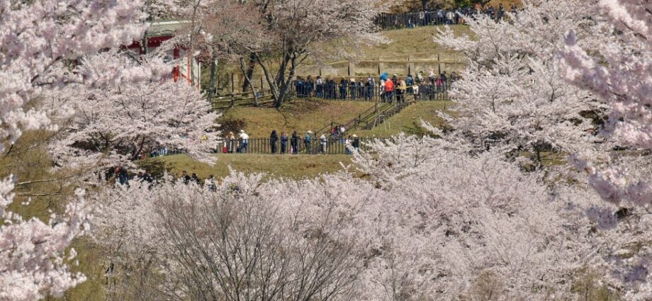 Japan Struggles With What Some There Call “Tourism Pollution”