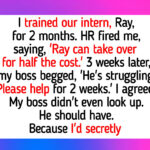I Trained My Replacement and Got Fired, Now My Boss Is Begging for Me to Return