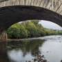 How river DNA can track fish, frogs, fungi and human feces all at once