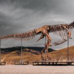 This T. rex could be yours for $30 million