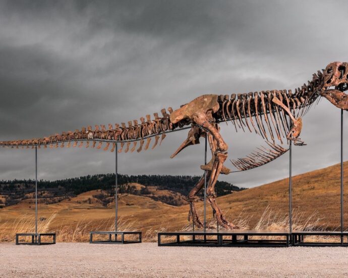 This T. rex could be yours for $30 million