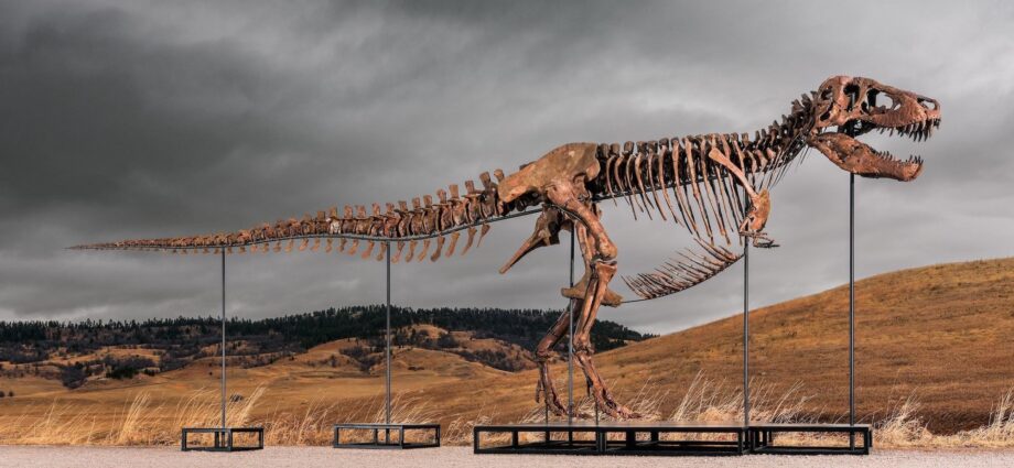 This T. rex could be yours for $30 million