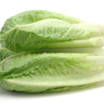 Publisher’s Platform: What the FDA did not want you to read about the November 2024 romaine E. coli outbreak