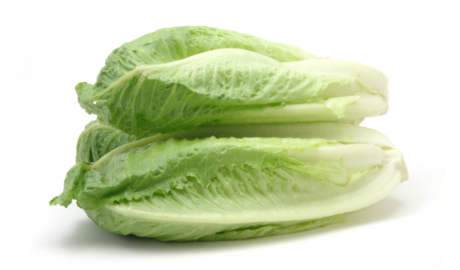 Publisher’s Platform: What the FDA did not want you to read about the November 2024 romaine E. coli outbreak