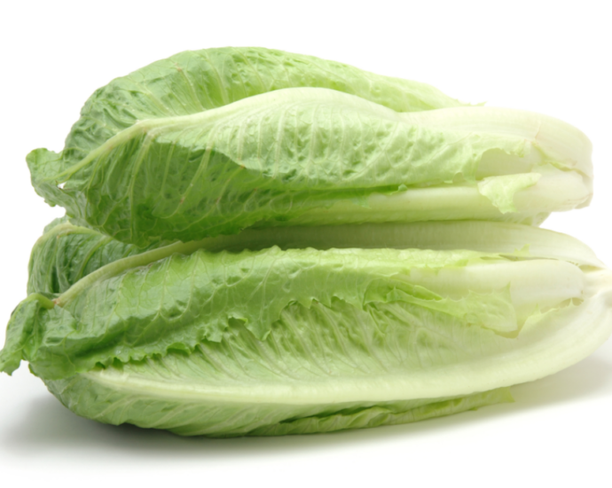 Publisher’s Platform: What the FDA did not want you to read about the November 2024 romaine E. coli outbreak