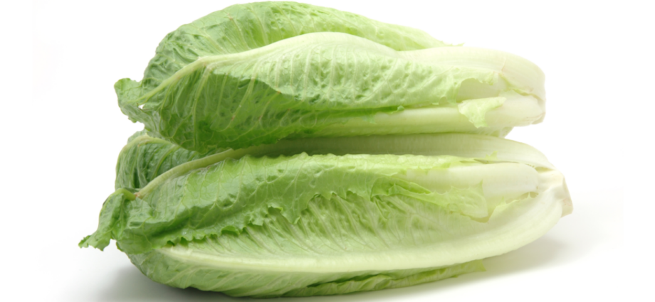 Publisher’s Platform: What the FDA did not want you to read about the November 2024 romaine E. coli outbreak