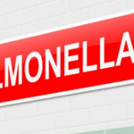 Suspicion falls on instant noodles in Salmonella outbreak