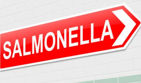 Suspicion falls on instant noodles in Salmonella outbreak