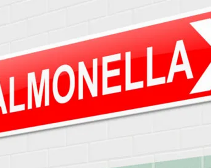 Suspicion falls on instant noodles in Salmonella outbreak