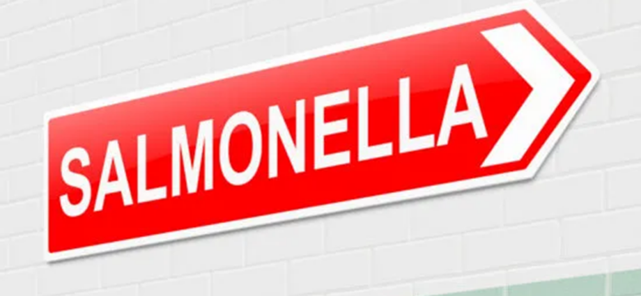 Suspicion falls on instant noodles in Salmonella outbreak