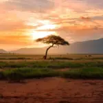 Kenya Drives Africa’s Tourism Growth With Economic and Sustainability Gains