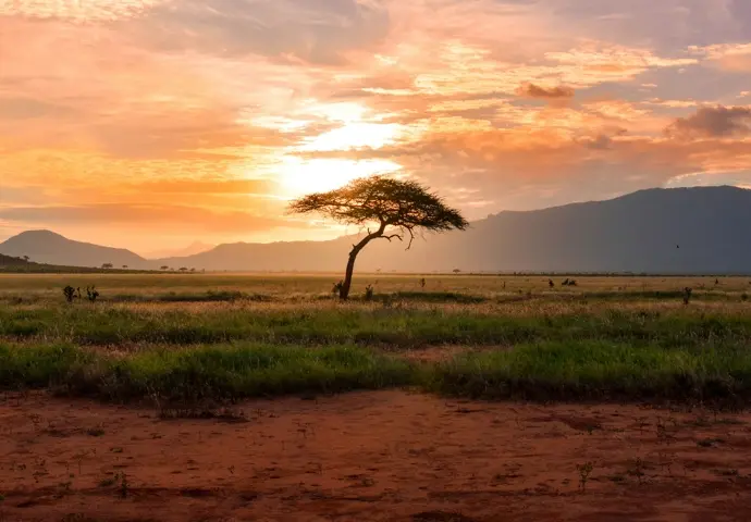 Kenya Drives Africa’s Tourism Growth With Economic and Sustainability Gains