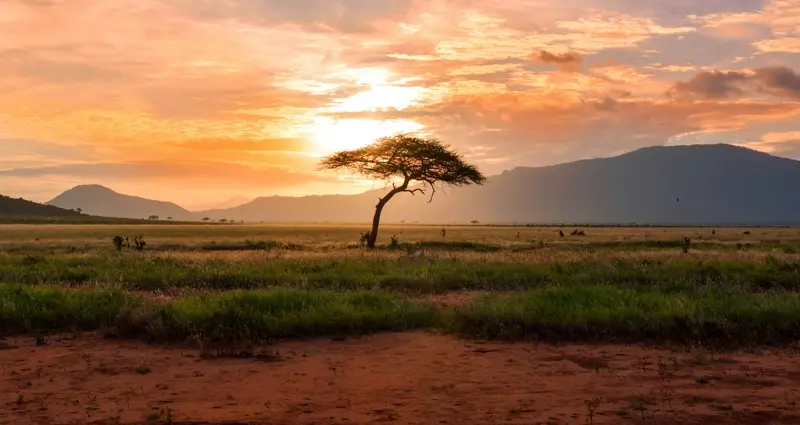 Kenya Drives Africa’s Tourism Growth With Economic and Sustainability Gains