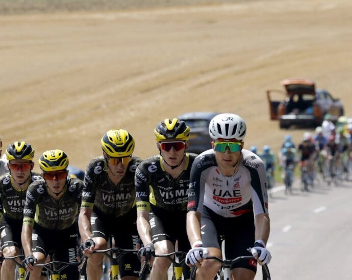 Domestiques, sprinters and climbers: who’s who in the Tour de France peloton (and why it matters)