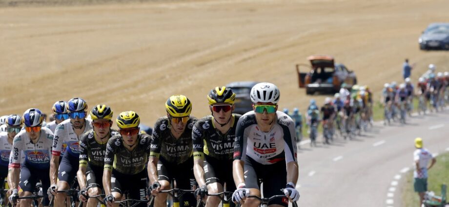 Domestiques, sprinters and climbers: who’s who in the Tour de France peloton (and why it matters)