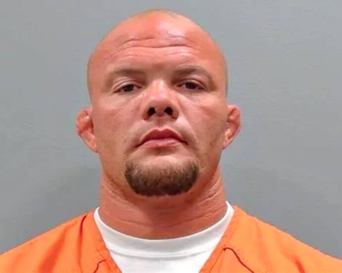 Anthony Smith arrested on trio of felony charges