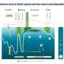 Mechanical shortcut’ rapidly carries organic particles into the deep ocean