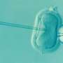 No clear evidence that common embryo transfer techniques improve IVF success