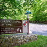 Maryland Closes More of Cunningham Falls State Park After Second Beaver Attack