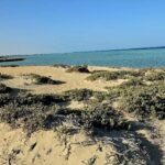 Egypt’s deserts show why ecological knowledge matters in conservation (commentary)