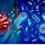 Indonesia urged to act to stop meal program poisonings