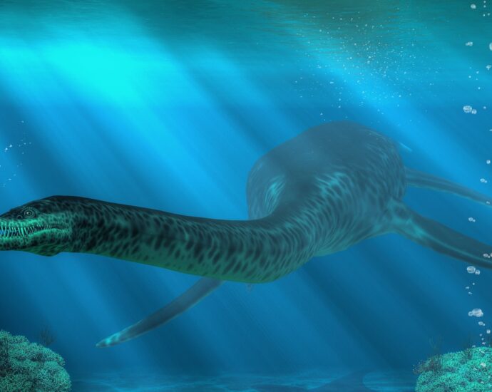 Plesiosaurs vomited indigestible pellets like owls